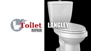 Mr-Toilet-LANGLEY